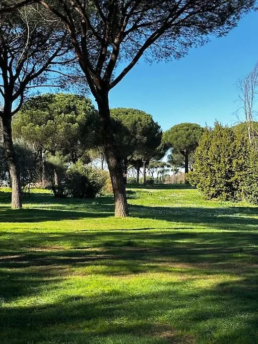 Lägenhet Olimpia Guest House Rom Italien
